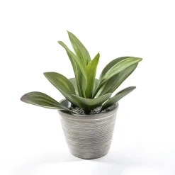 Agave finta in vaso Ø12xH23 cm verde