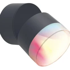 Applique da parete da esterno Dropsi Smart Home 9,5 W 690 lm CCT RGB antracite