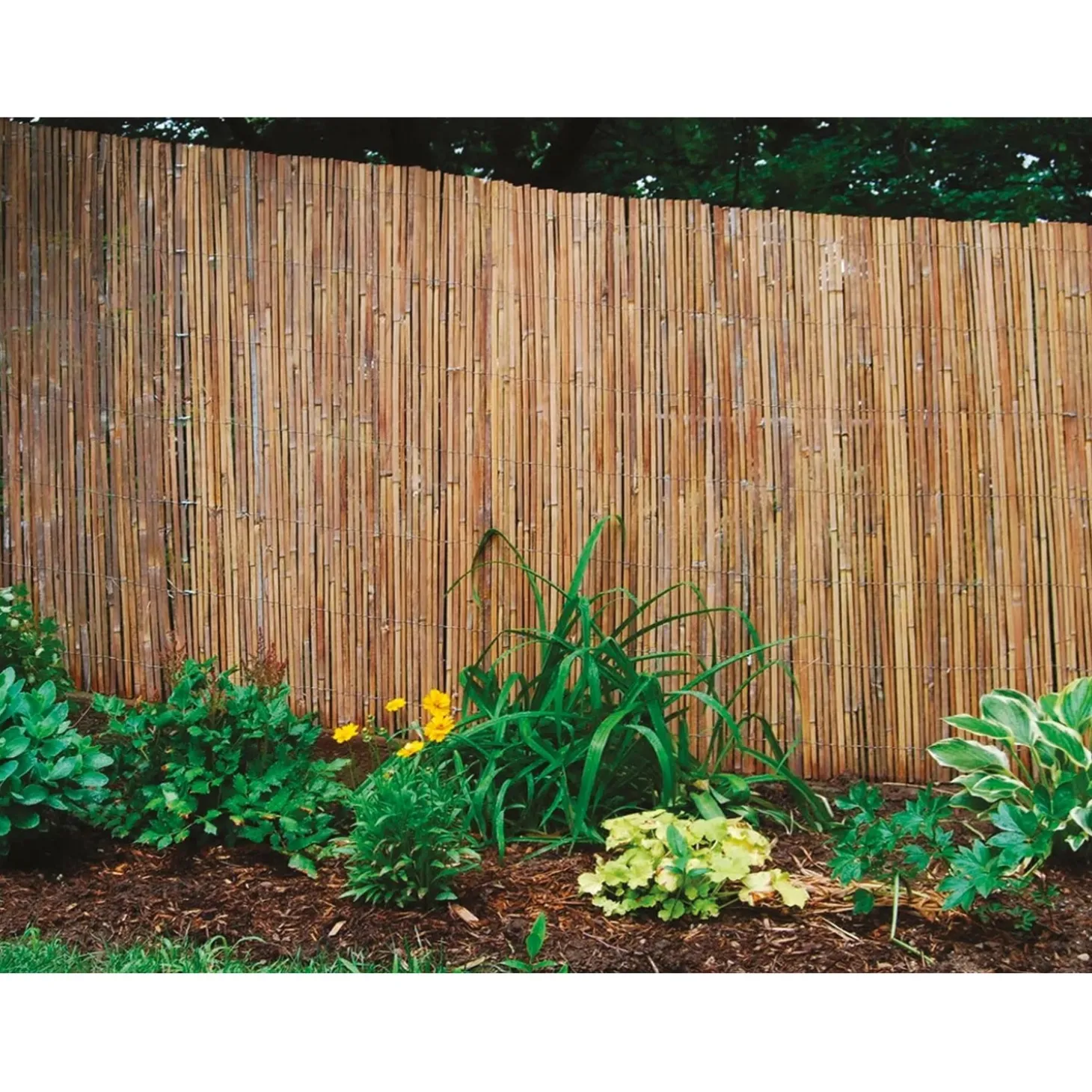 Arella naturale Beach in bambu H 1,5 x L 3 m
