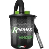Aspiracenere Minicen 800 W 10 L