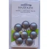 Bottoni magnetici in pvc argento 8 pz