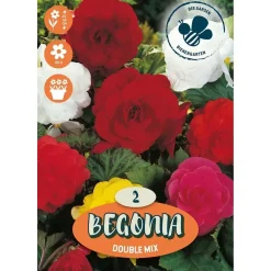 Bulbi da fiore Begonia Double Mix