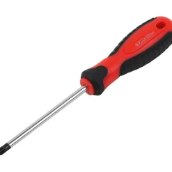 Cacciavite PZ2 x 100 mm