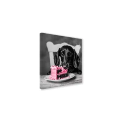 Canvas 30x30 cm dachshund