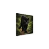 Canvas 30x30 cm set animali - puma