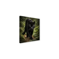 Canvas 30x30 cm set animali - puma
