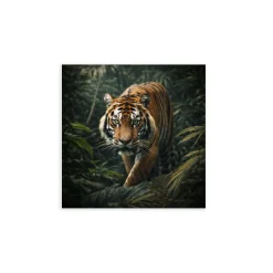 Canvas 30x30 cm set animali - tigre