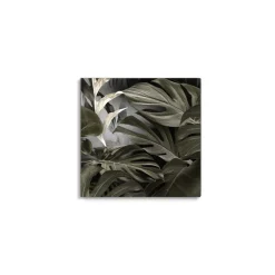 Canvas 30x30 cm set foglie a