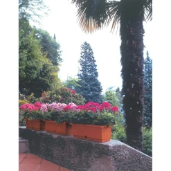 Cassetta Itaca con sottocassetta 60x20x17 cm in plastica terracotta