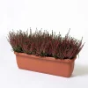 Cassetta Unica 40x20x16,4 cm in plastica terracotta