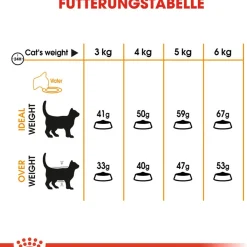 Cibo secco per gatti Royal Canin Hair & Skin Care 400 g