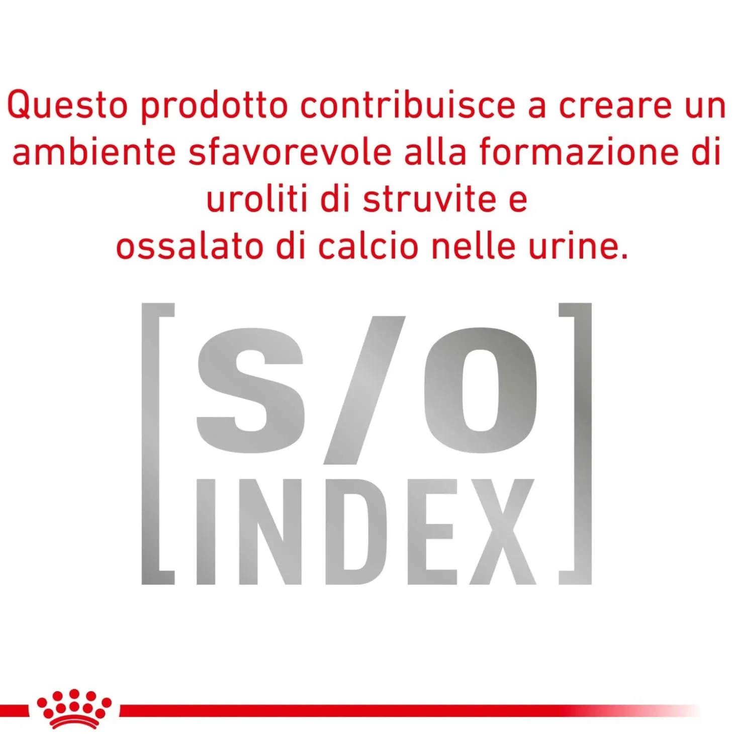 Cibo secco per gatti Royal Canin Hypoallergenic 2,5 kg