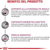 Cibo secco per gatti Royal Canin Renal 2 kg