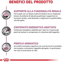 Cibo secco per gatti Royal Canin Renal 2 kg