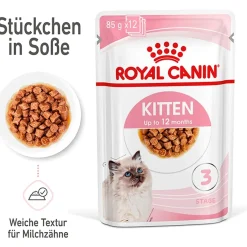 Cibo umido per gatti Royal Canin Kitten in salsa 85 gr