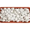 Ciottolo bianco Carrara 25-40 mm 20 kg