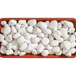 Ciottolo bianco Carrara 25-40 mm 20 kg