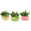 Composizione uovo in ceramica piante verdi 40 cm