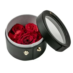 Confezione regalo rotonda nera con rosa x3 vaso 12,5 cm