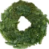 Corona nobilis vaso 30 cm