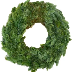 Corona nobilis vaso 50 cm