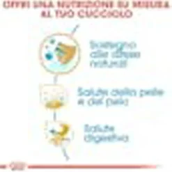 Crocchette per cuccioli Royal Canin Golden Retriever Puppy 3 kg