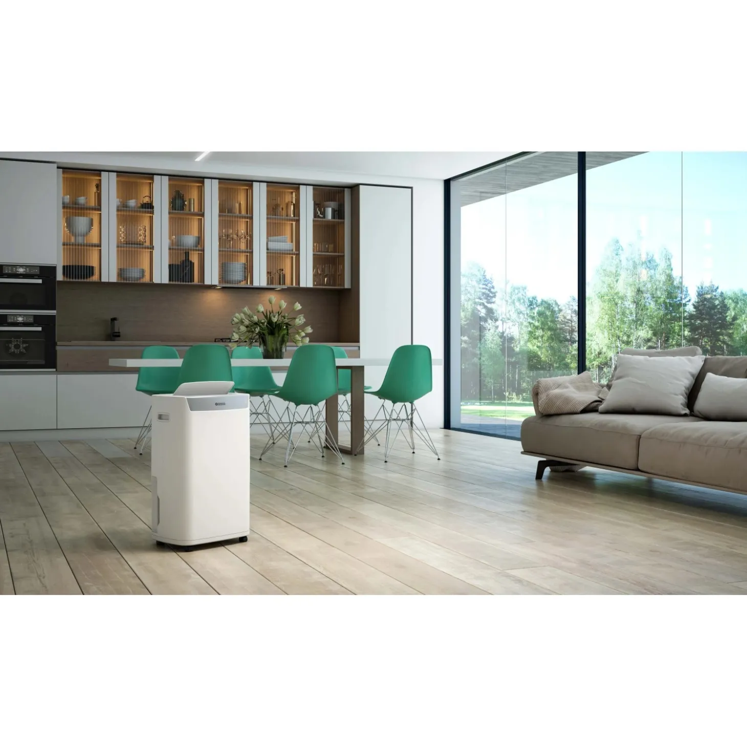 Deumidificatore Olimpia Splendid Aquaria S1 20 P 20 l 310 W WiFi bianco