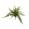 Felce boston 39 cm