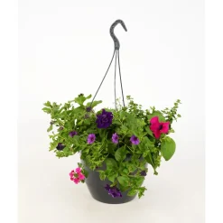 Fiori da appendere mix vaso Ø 27 cm