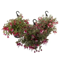 Fuchsiavasoda Append.Mix Vaso 21 cm