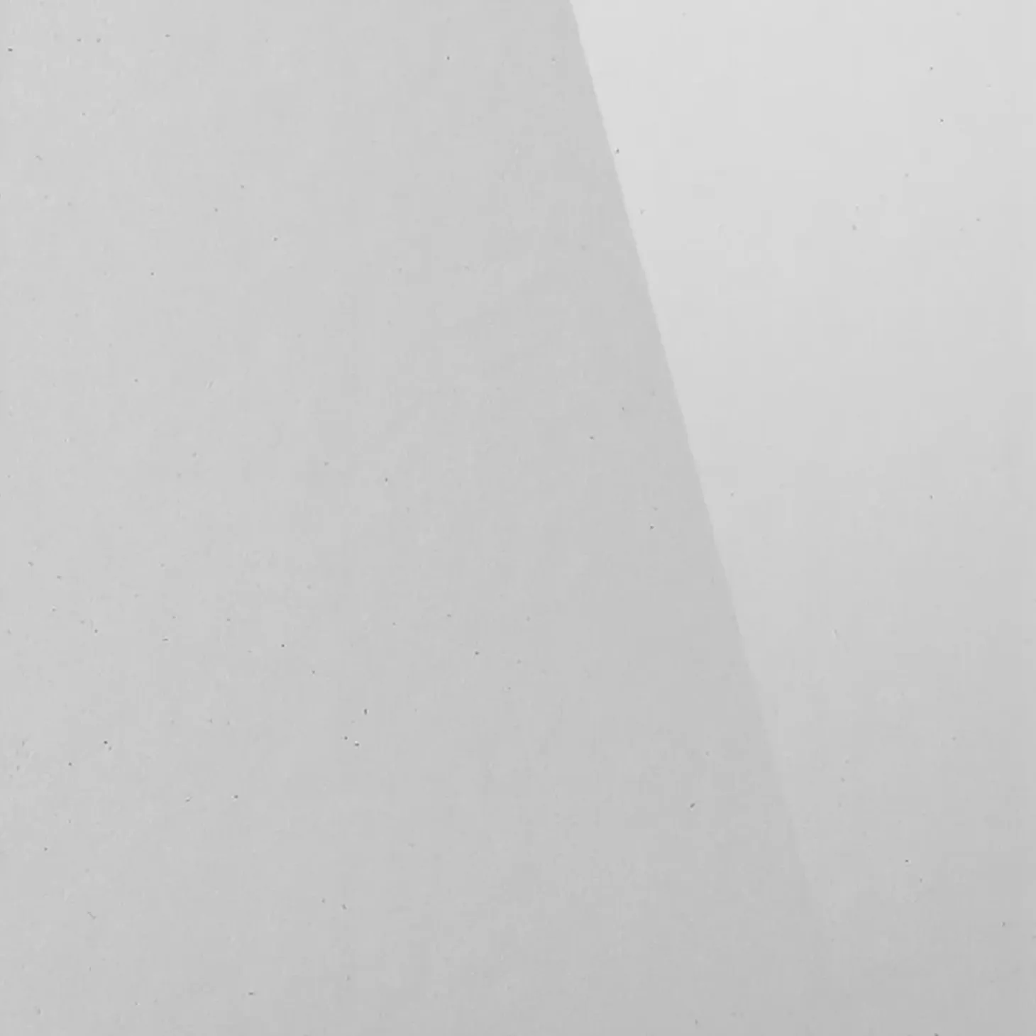 Lato fisso per doccia Platz 80 cm H 190 cm bianco e sintetico