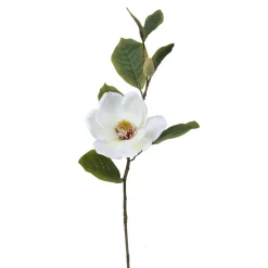 Magnolia 20x16 cm