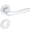 Maniglia Bica alluminio con rosette e bocchette Yale argento