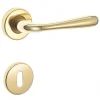 Maniglia modello sei con rosette e bocchette patent ottone lucido