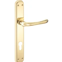 Maniglia modello sette con placca Yale ottone lucido