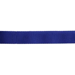 Nastro blu 30 mm 5 m