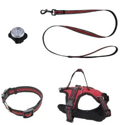 Pettorina flash per cane taglia grande kit