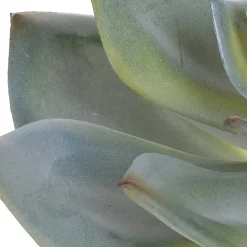 Pianta artificiale Succulent