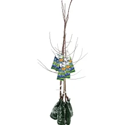 Pianta da frutto susino in pack 120 cm