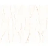 Piastrella in gres Vena Oro Covelano 59,6x119,2 cm