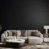 Pittura home color superlavabile igienizzante nero 0,75 l