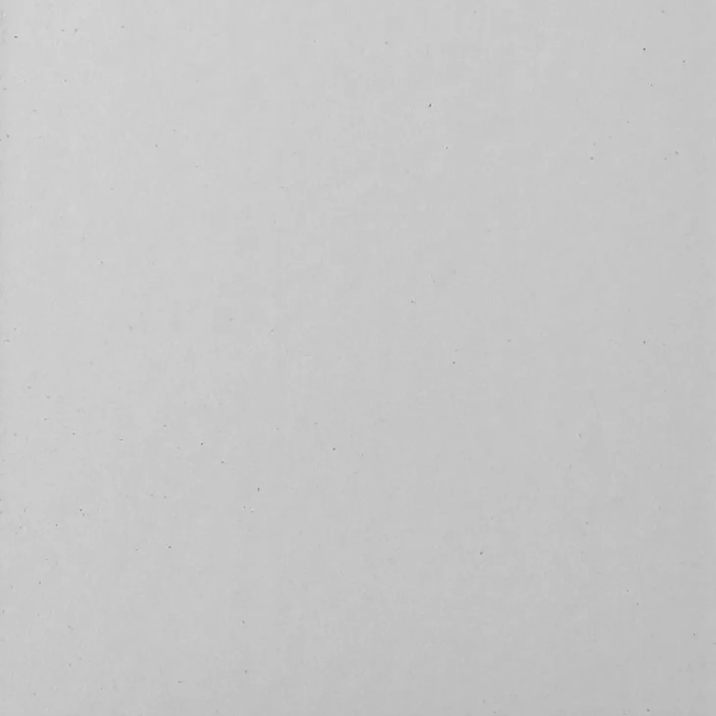 Porta scorrevole doccia 1 anta Bild L106/112xH190 cm bianco opaco