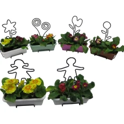 Portavaso Natura con soggetti misti
