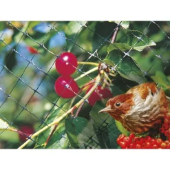 Rete Anti-Uccelli 2X5 m