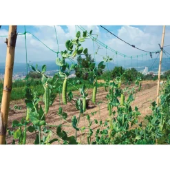 Rete rampicante 2 m x 25 m