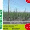 Rete Rampy per rampicanti 2X10