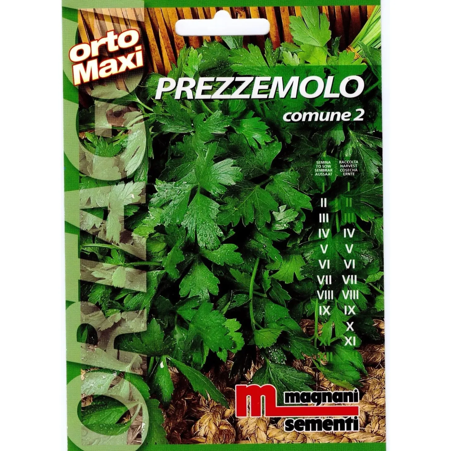 Semi aromi Prezzemolo comune