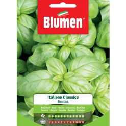 Semi Blumen Basilico italiano classico 20 g