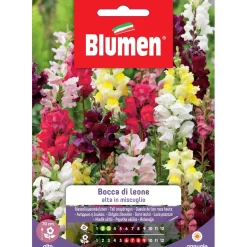 Semi Blumen Bocca di leone alta in miscuglio