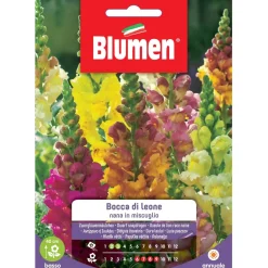 Semi Blumen Bocca di leone nana in miscuglio